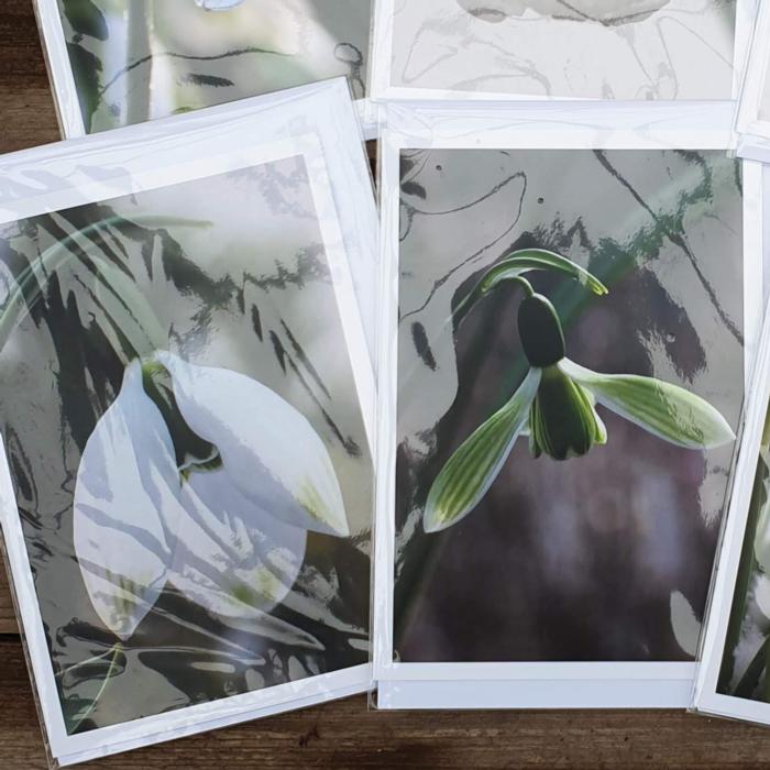 Card - set van 6 kaartjes