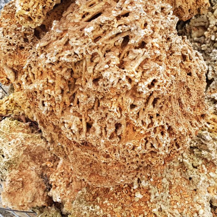 Spaghetthi rock 15/40